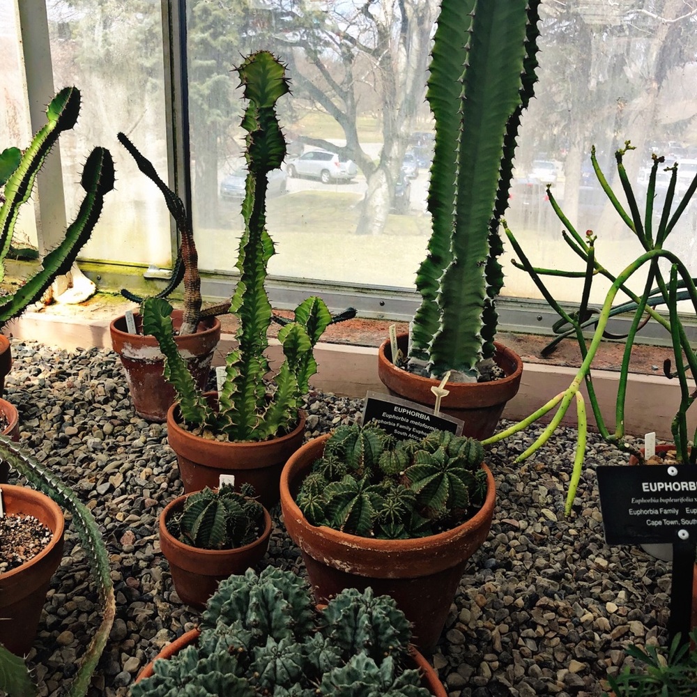 Meet your Posher, Maela